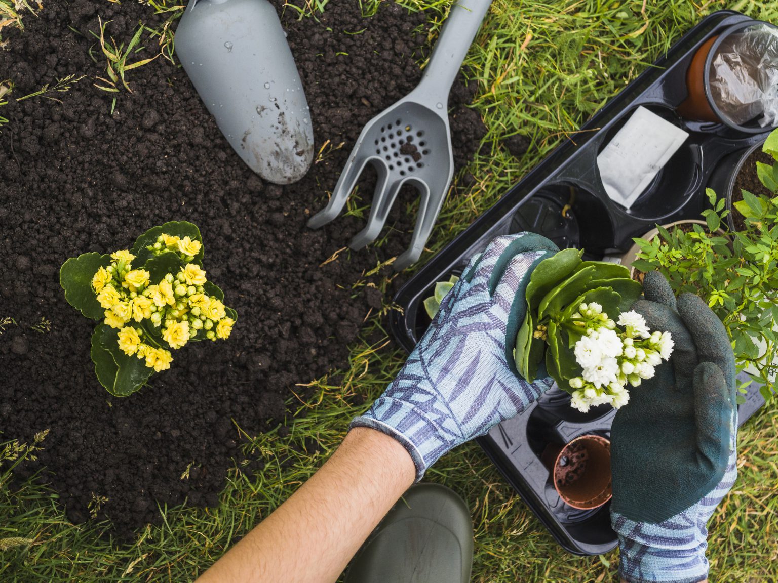 Planting flowers, shrubs, and trees